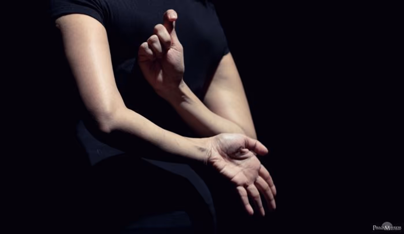 Review Roundup: Preeti Vasudevan's STORIES BY HAND at New York Live Arts - What Did The Critics Think? Image