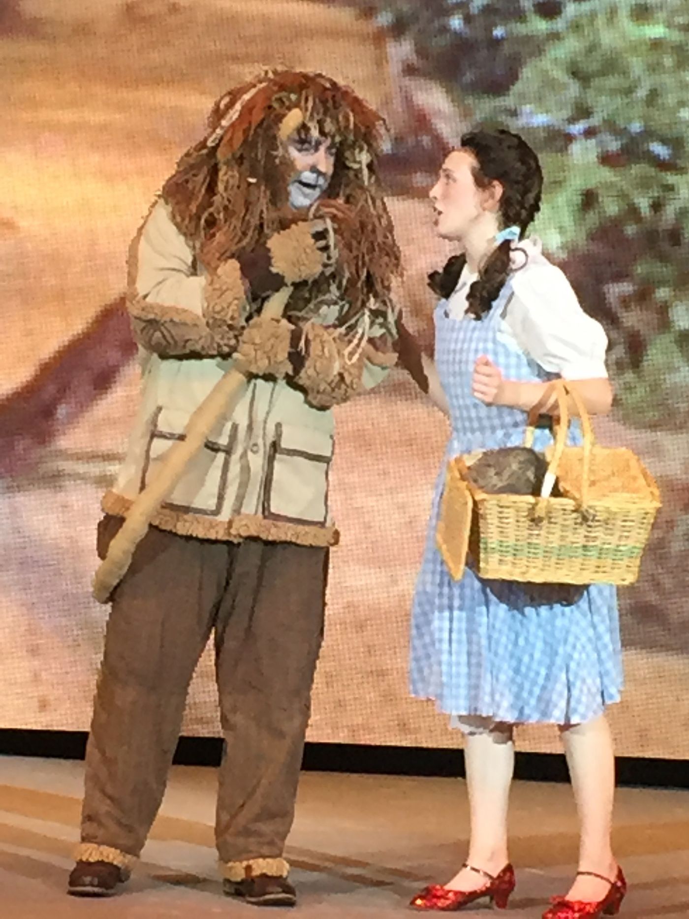 Review: THE WIZARD OF OZ at Providence Hospital Amphitheater  Image