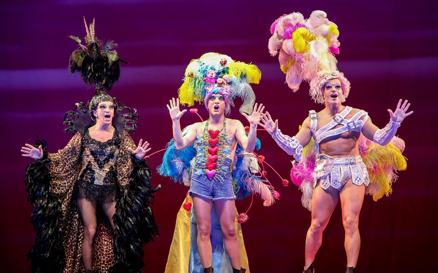 PRISCILLA LA REGINA DEL DESERTO: il musical al Teatro Europauditorium di Bologna  Image