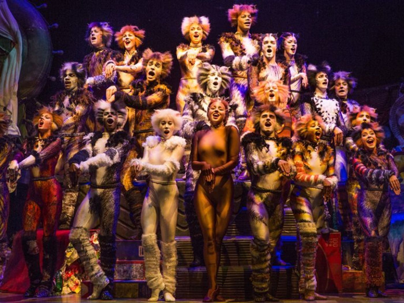 Review: CATS at SHEA'S BUFFALO Theatre  Image