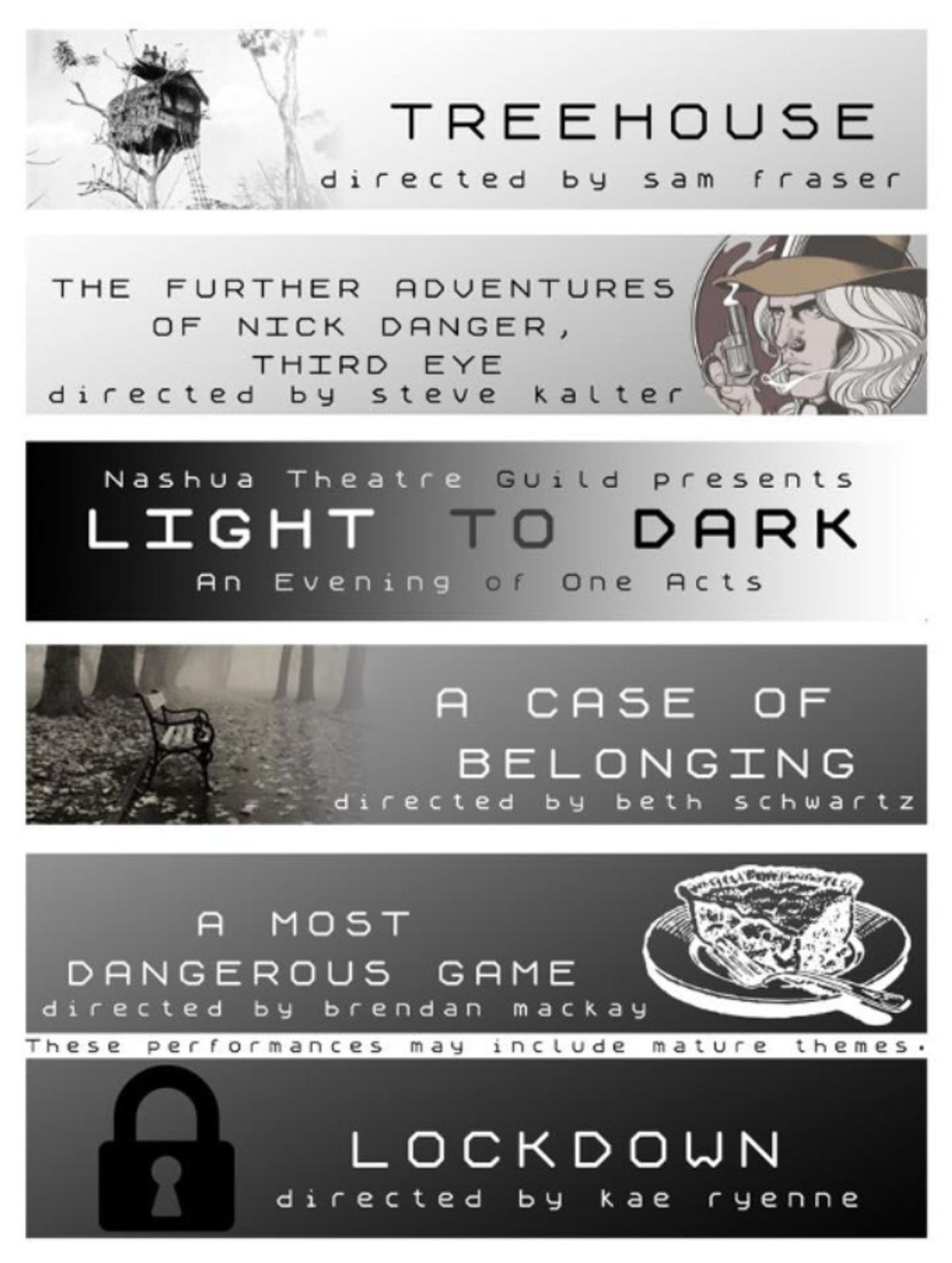 Review: LIGHT TO DARK at Nashua Theatre Guild  Image