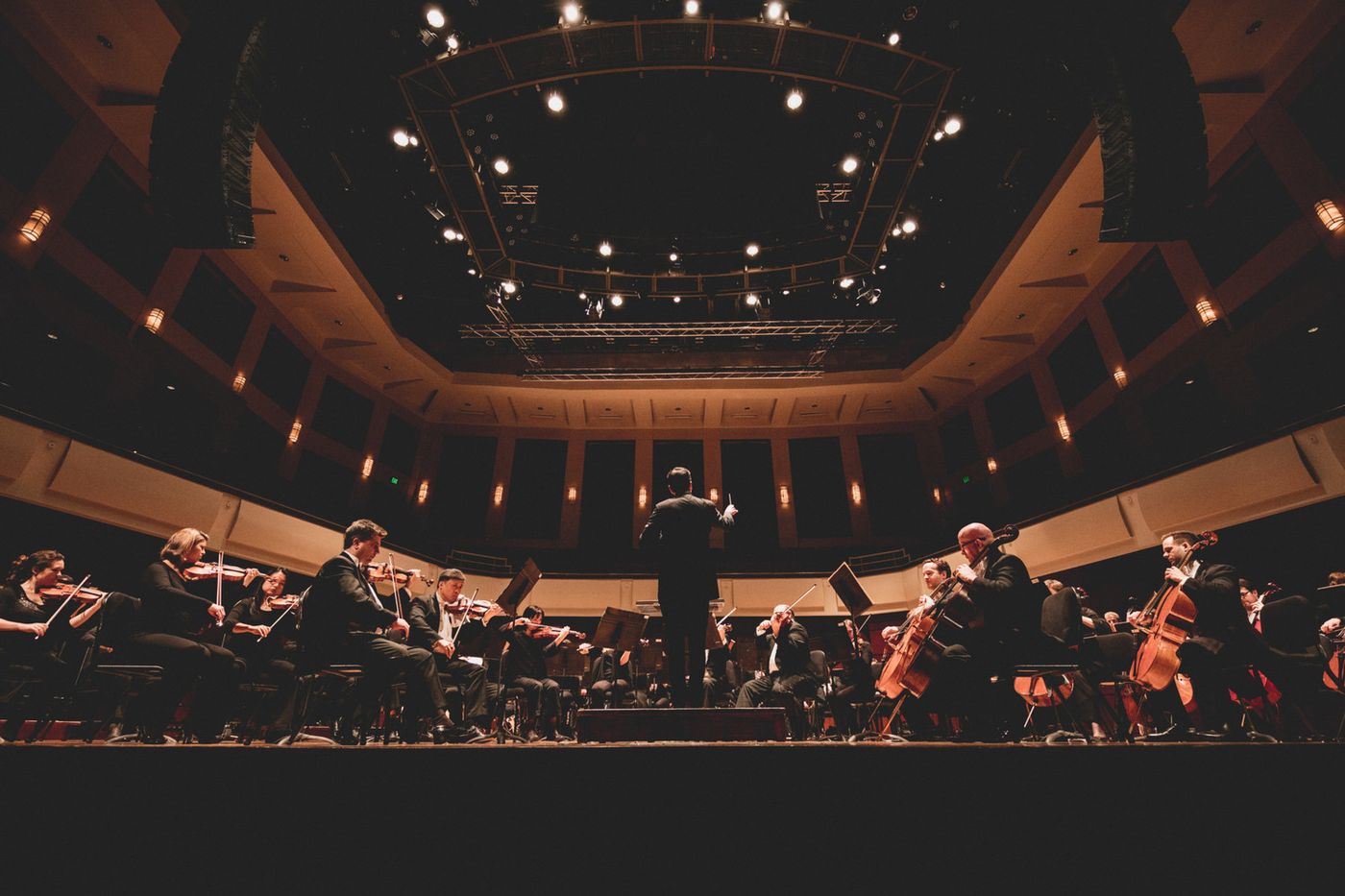 Review: The Alabama Symphony Orchestra Delivers Musical Mastery in CARMINA BURANA & THE RITE OF SPRING  Image