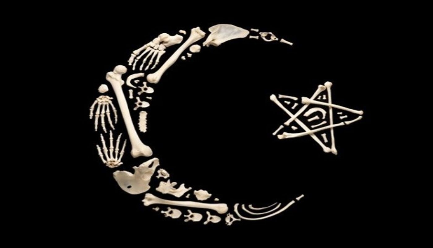 COSMIC WARRIOR Makes National Debut  Image