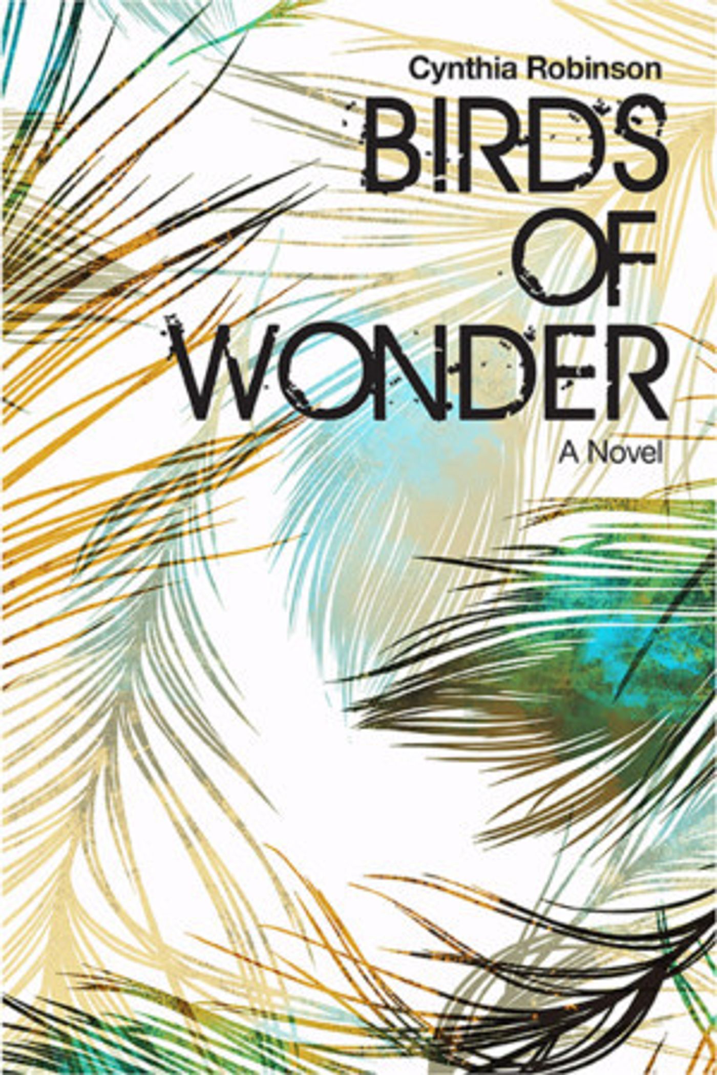 Debut Novel Birds Of Wonder By Cornell University Professor Cynthia Robinson Available Now  Image