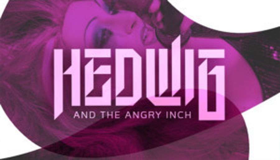 HEWIG AND THE ANGRY INCH Comes to the Sharadin Bigler Theatre Image
