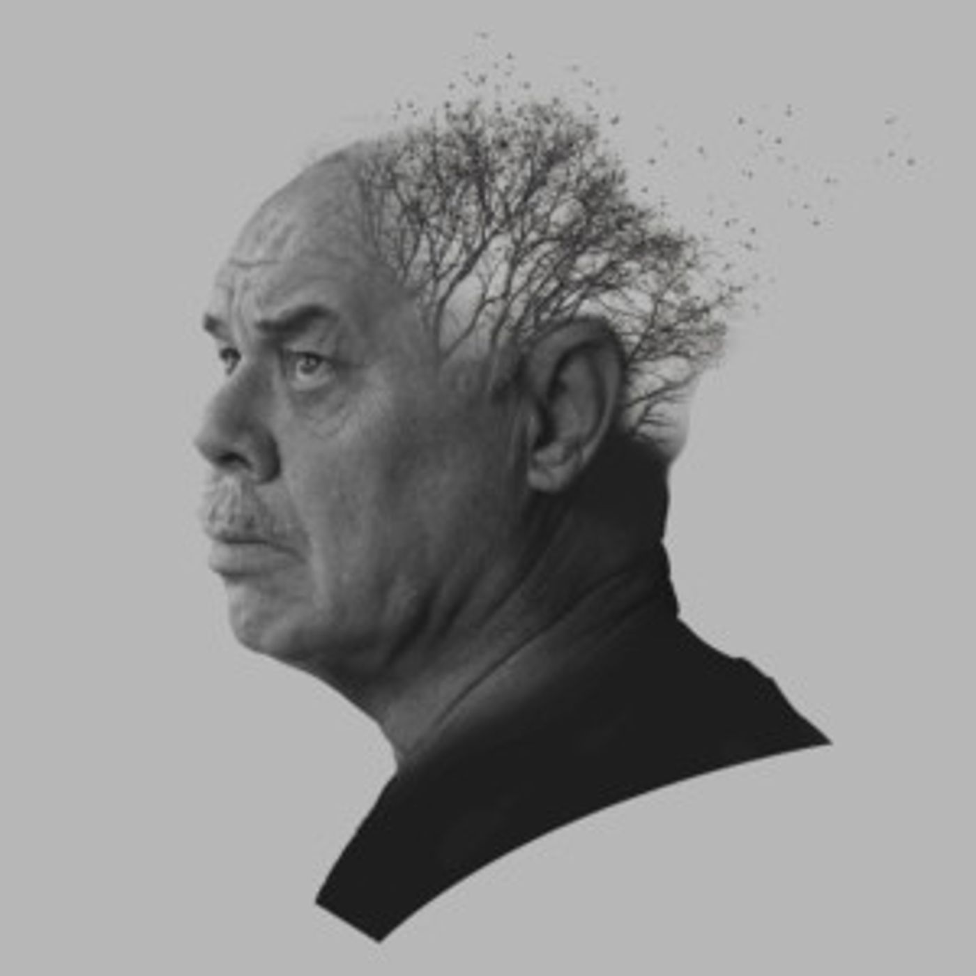 Box Office Open for THE FATHER from Jarrott Productions  Image