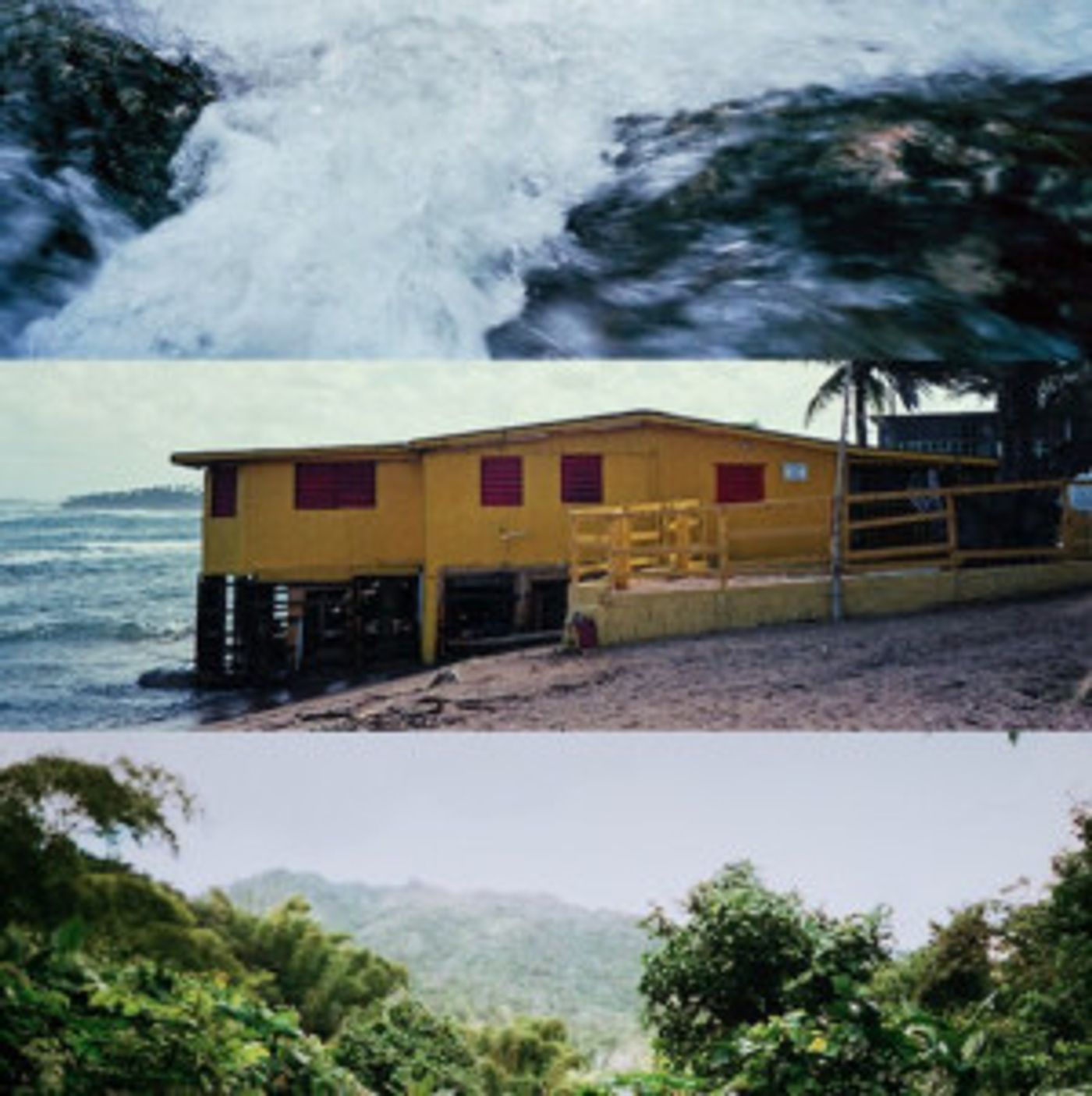 WWTNS? Heads to Puerto Rico for Upcoming AGUA, VIDA Y TIERRA  Image