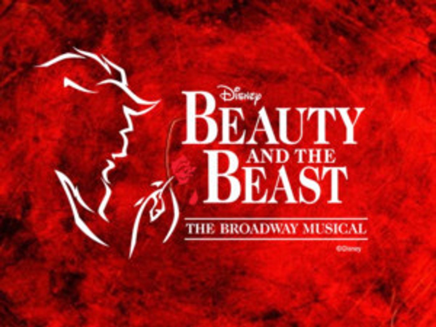 NTPA Repertory Theatre Announces Cast Of BEAUTY AND THE BEAST  Image