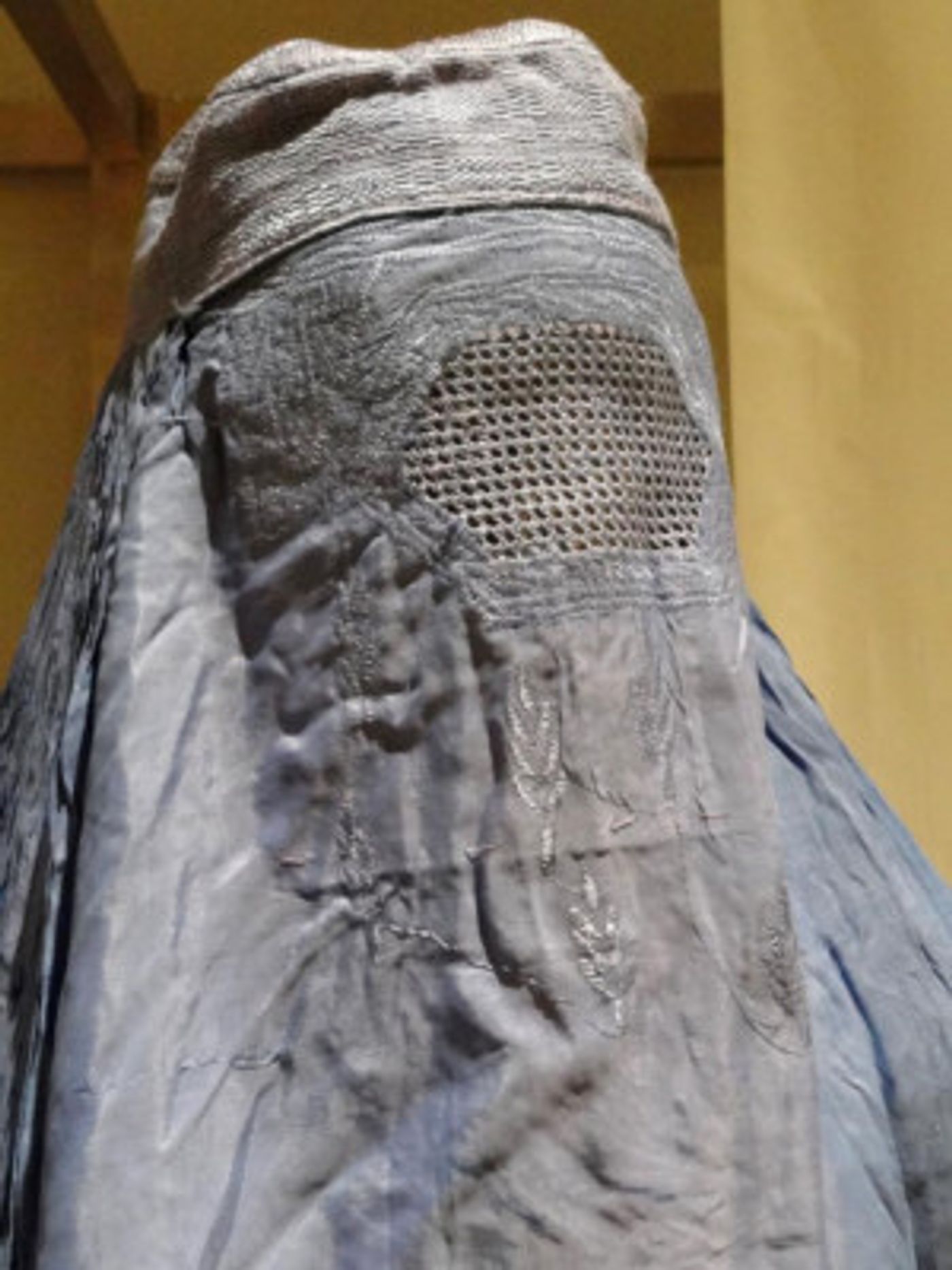 Hudson Area Library to Screen A THOUSAND SPLENDID SUNS Opera  Image