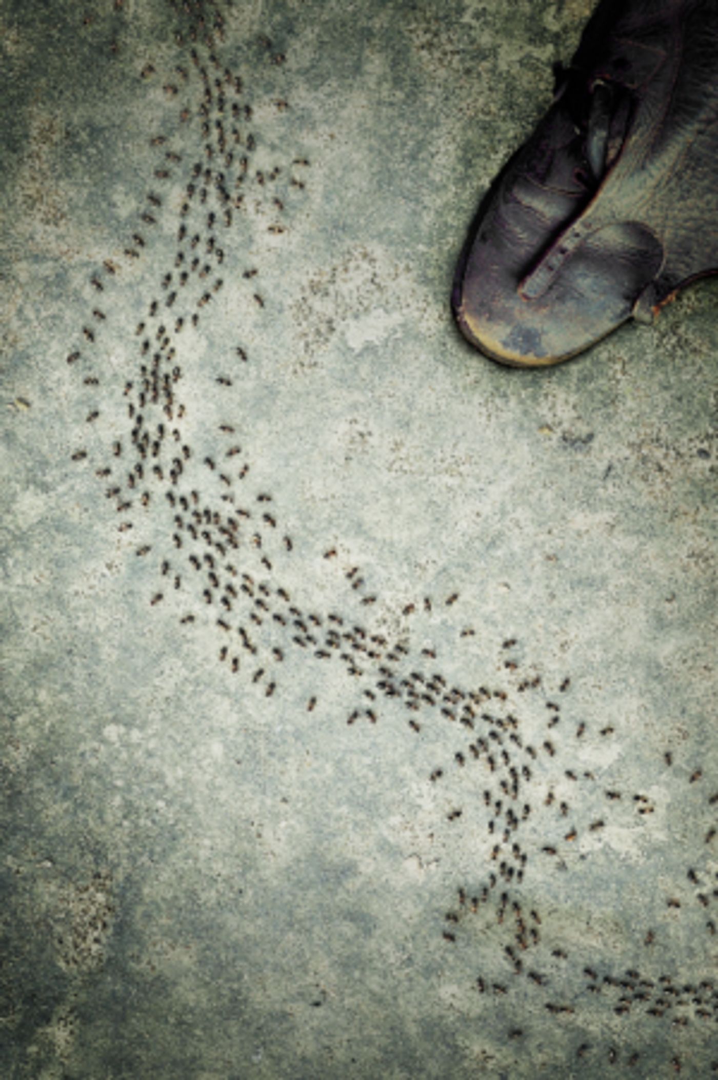 UW School of Drama presents Lucy Thurber's MONSTROSITY  Image