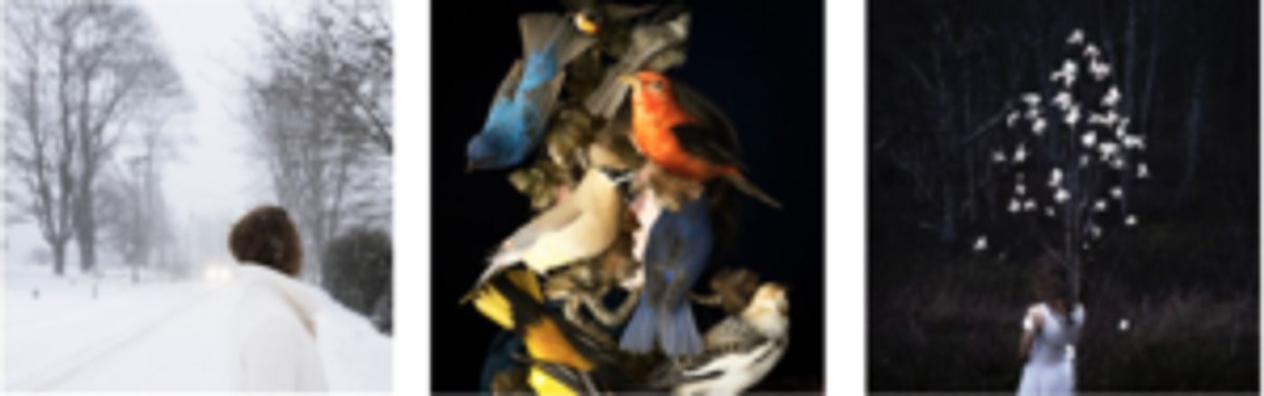 Cig Harvey presents New Exhibition YOU AN ORCHESTRA YOU A BOMB  Image