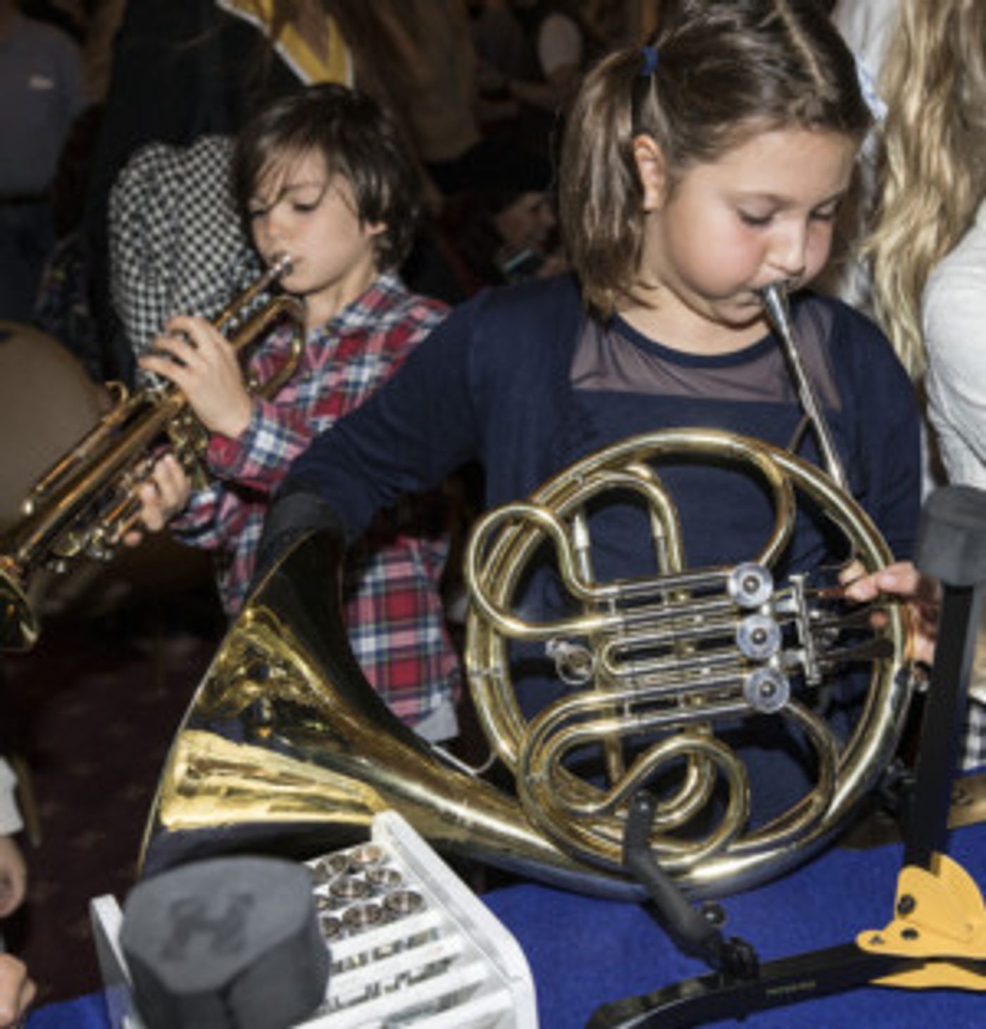 Santa Barbara Symphony To Present Family Concert THE CARNIVAL OF THE ANIMALS  Image