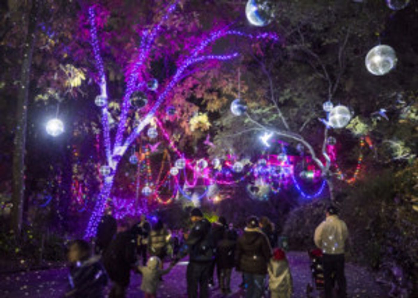Holiday Happy Hour Parties for 21-And-Up Crowd At LA ZOO LIGHTS  Image