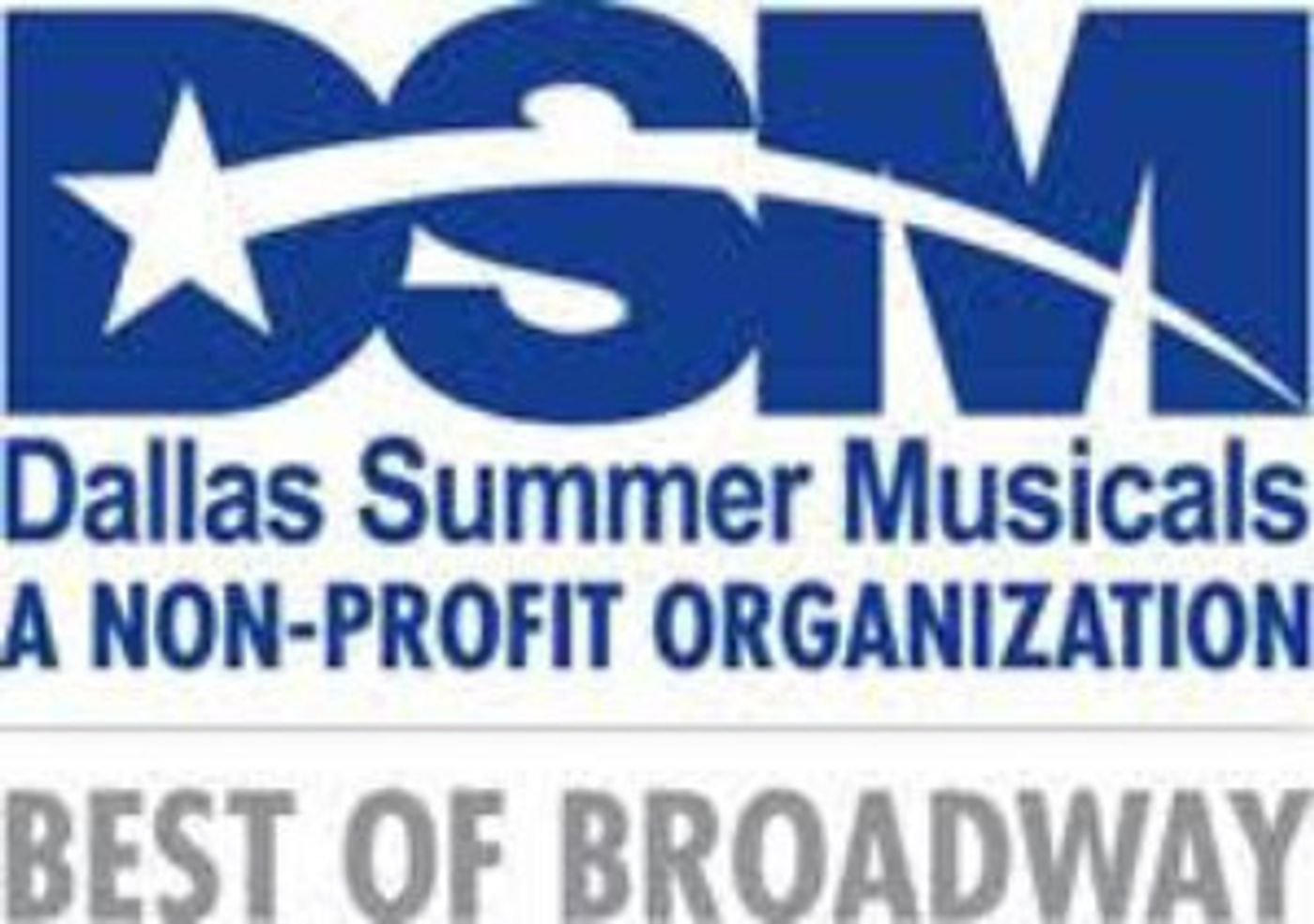 DSM 2017 Gala Breaks Fundraising Record with $500,000  Image