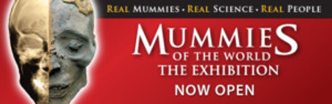 THE ART OF THE BRICK to Feature LEGO Works of Art at Union Station  Image