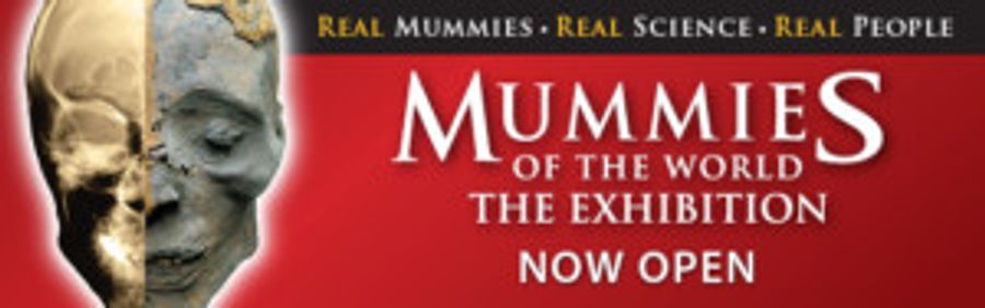 THE ART OF THE BRICK to Feature LEGO Works of Art at Union Station Image