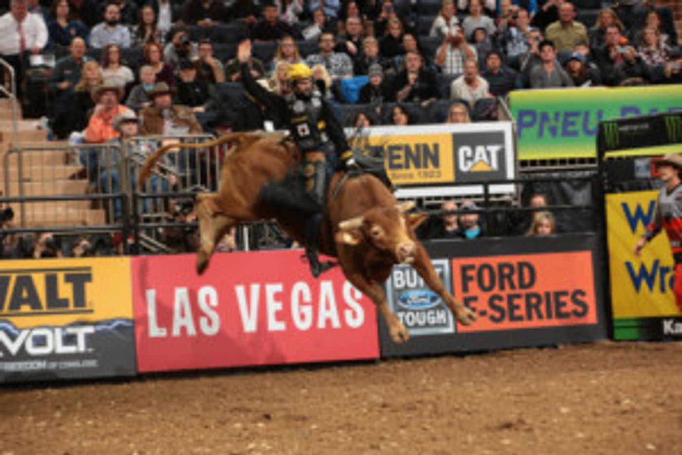 Professional Bull Riders Begin 25th Anniversary Season In NYC!  Image