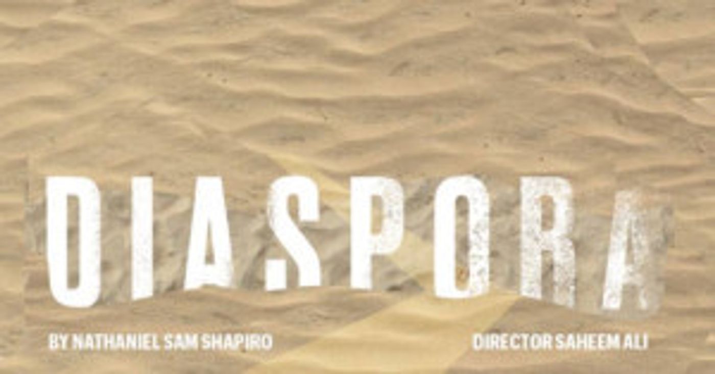 Off-Broadway's DIASPORA to Host Talkback Series with Cast, Guest Artists  Image