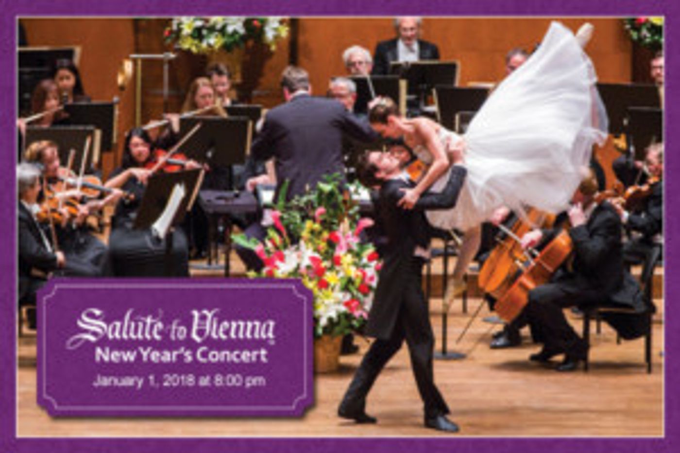 The Center In Coral Springs Welcomes 2018 With SALUTE TO VIENNA New Year's Concert On January 1st  Image
