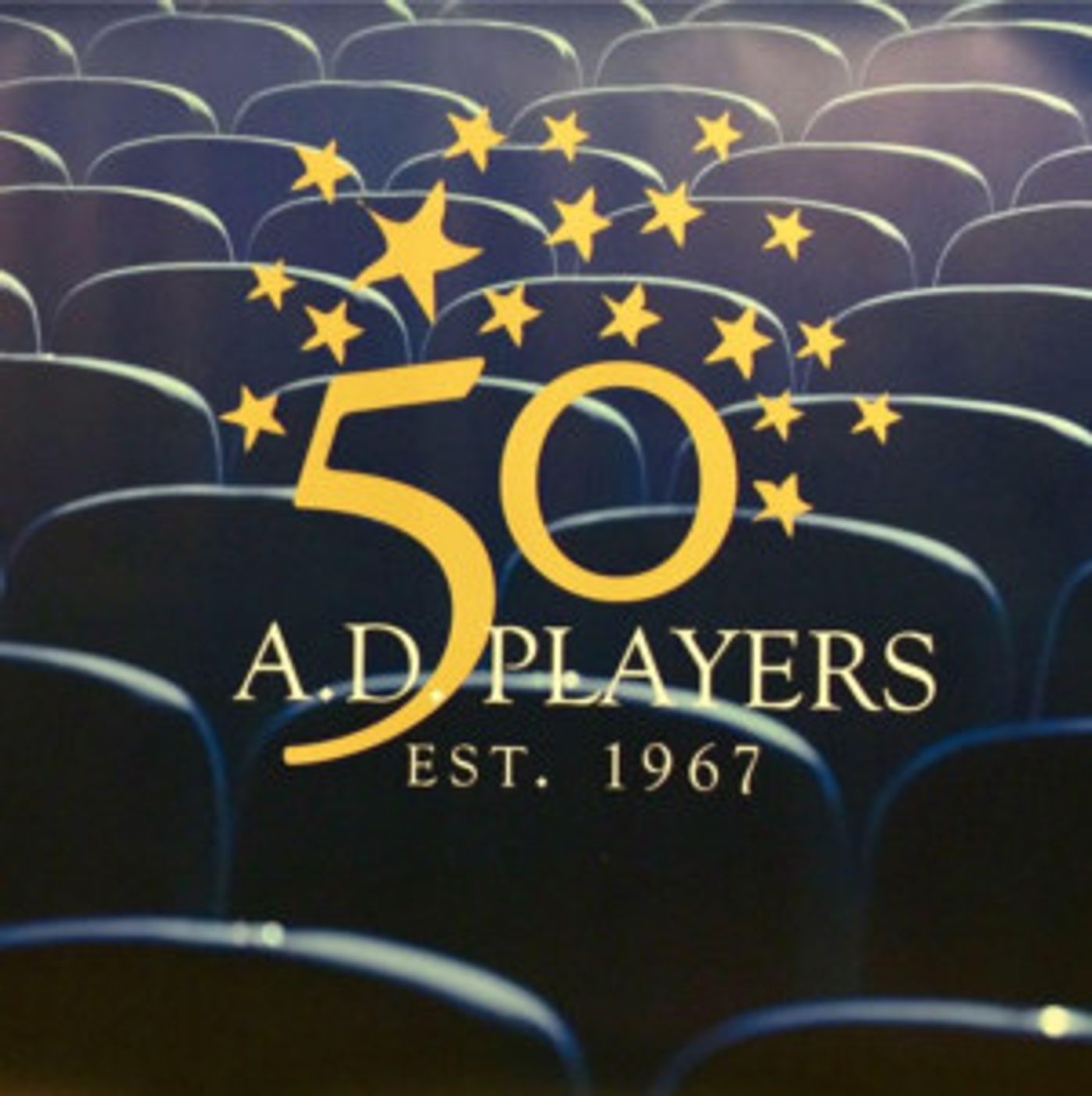 A.D. Players Names New Director Of Development, Houstonian Sheri Foreman  Image