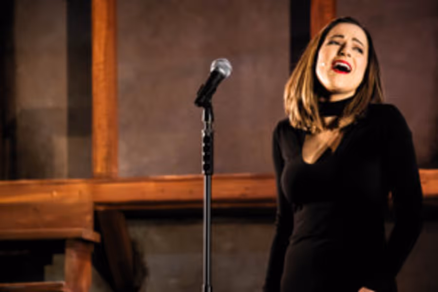Eagle Theatre presents A Perfect New Holiday Tradition Image