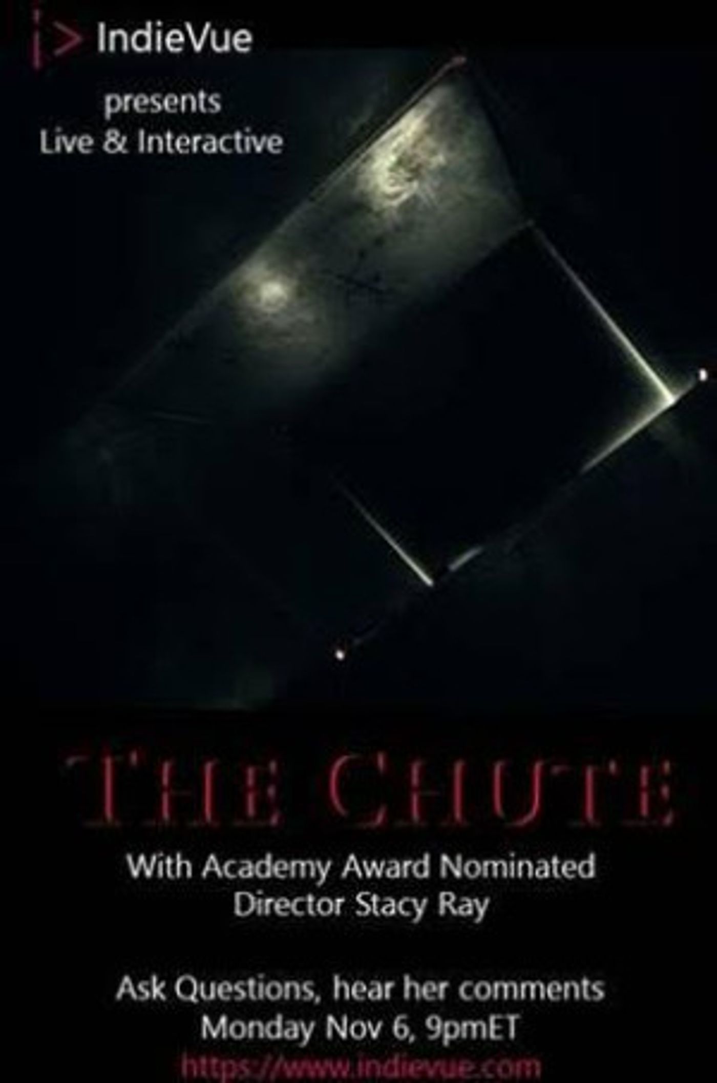 Stacy Sherman- Oscar Nominated and Emmy Award Winning Director On New Film THE CHUTE  Image