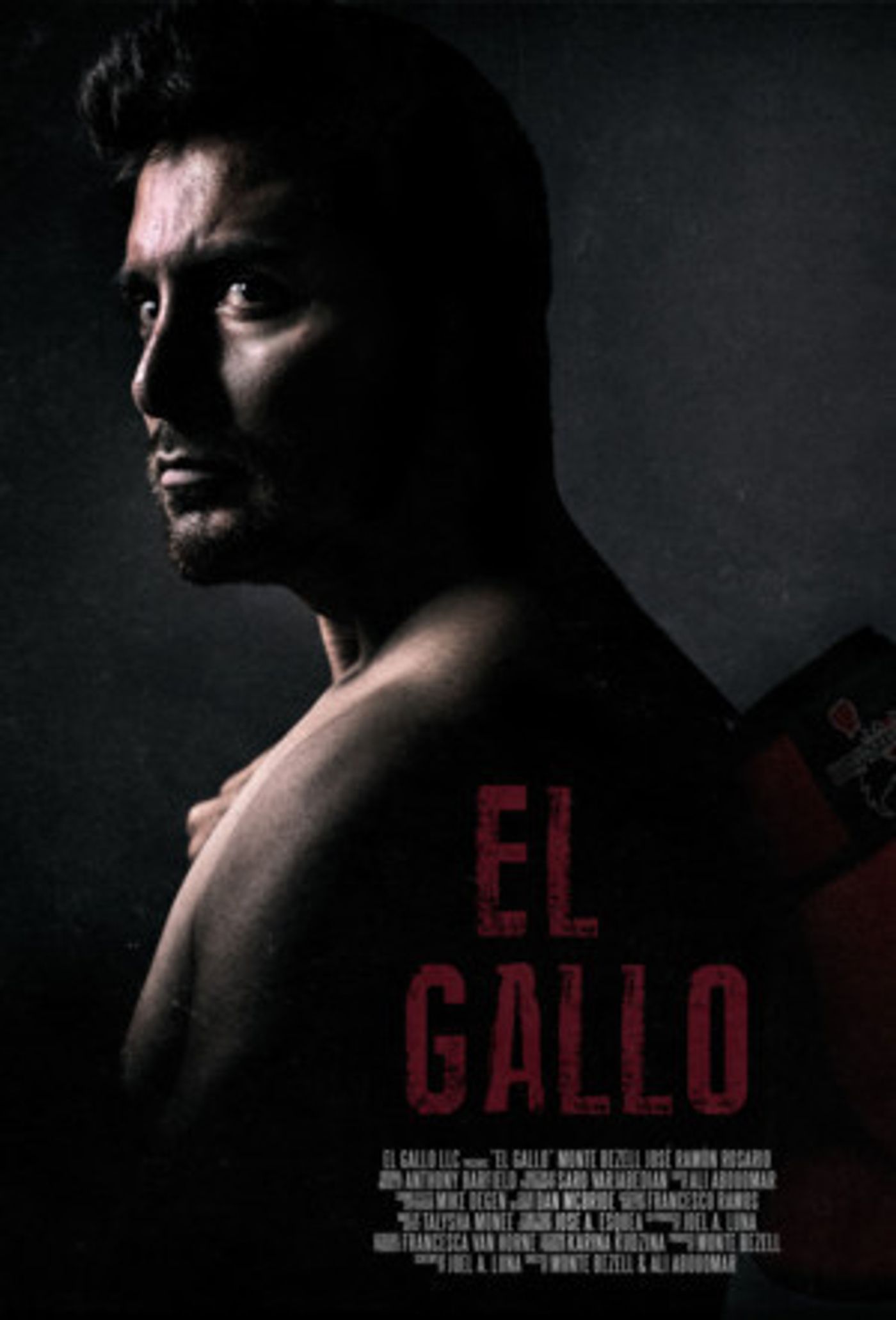 Freestyle Digital Media Acquires EL GALLO For January Release  Image