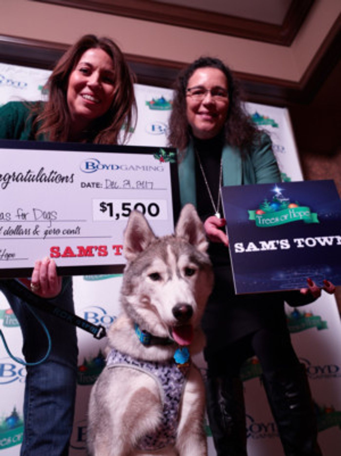 Boyd Gaming Announces Third Annual 'Trees Of Hope' Results  Image