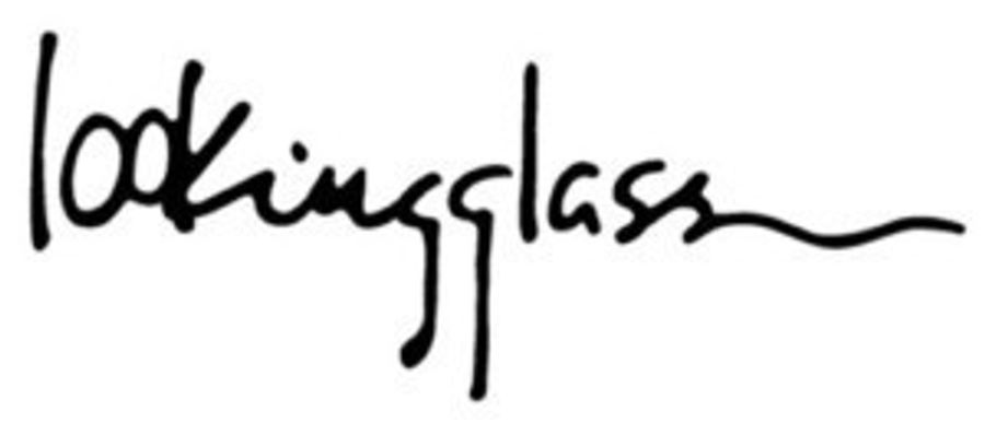 Lookingglass Appoints New Executive Director, Rachel L. Fink Image