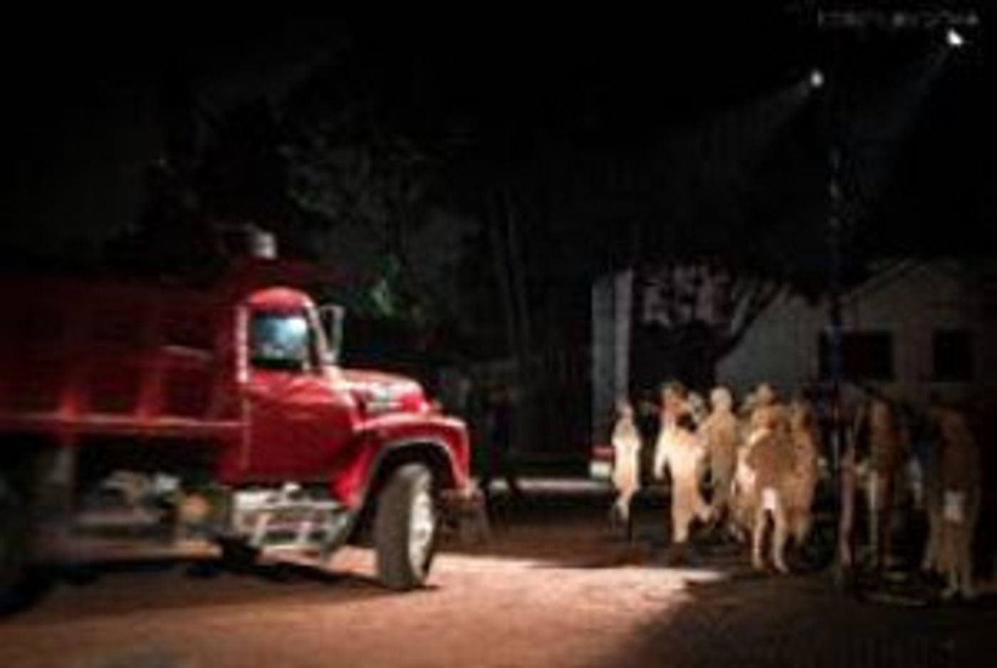 PACIFIC STANDARD TIME FESTIVAL Festival Launches Next Week, 1/11   21  Image