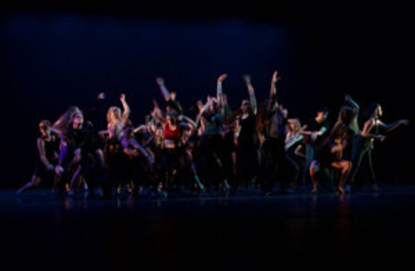 Broadway Theatre Project Live Auditions Announced  Image