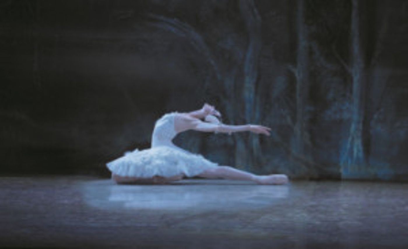 Los Angeles Ballet's Critically Acclaimed Production Of SWAN LAKE Begins 3/3  Image