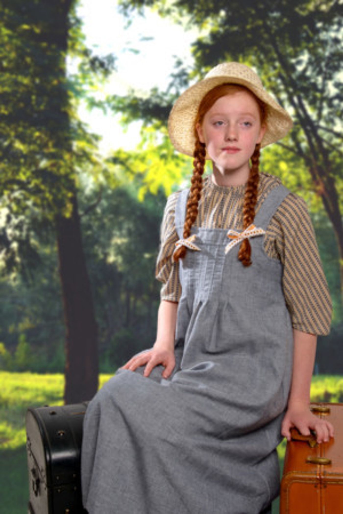 ANNE OF GREEN GABLES to Take the Stage at Artisan Center Theater  Image