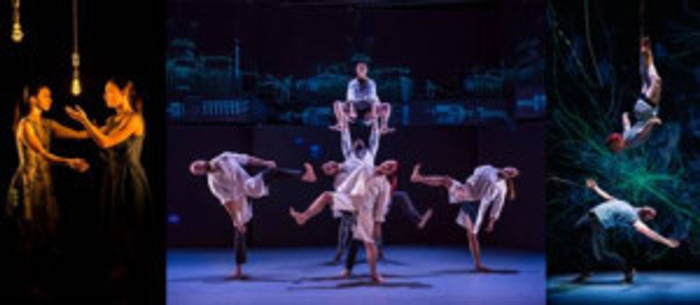 Motionhouse Brings Electrifying New Show CHARGE To Storyhouse  Image