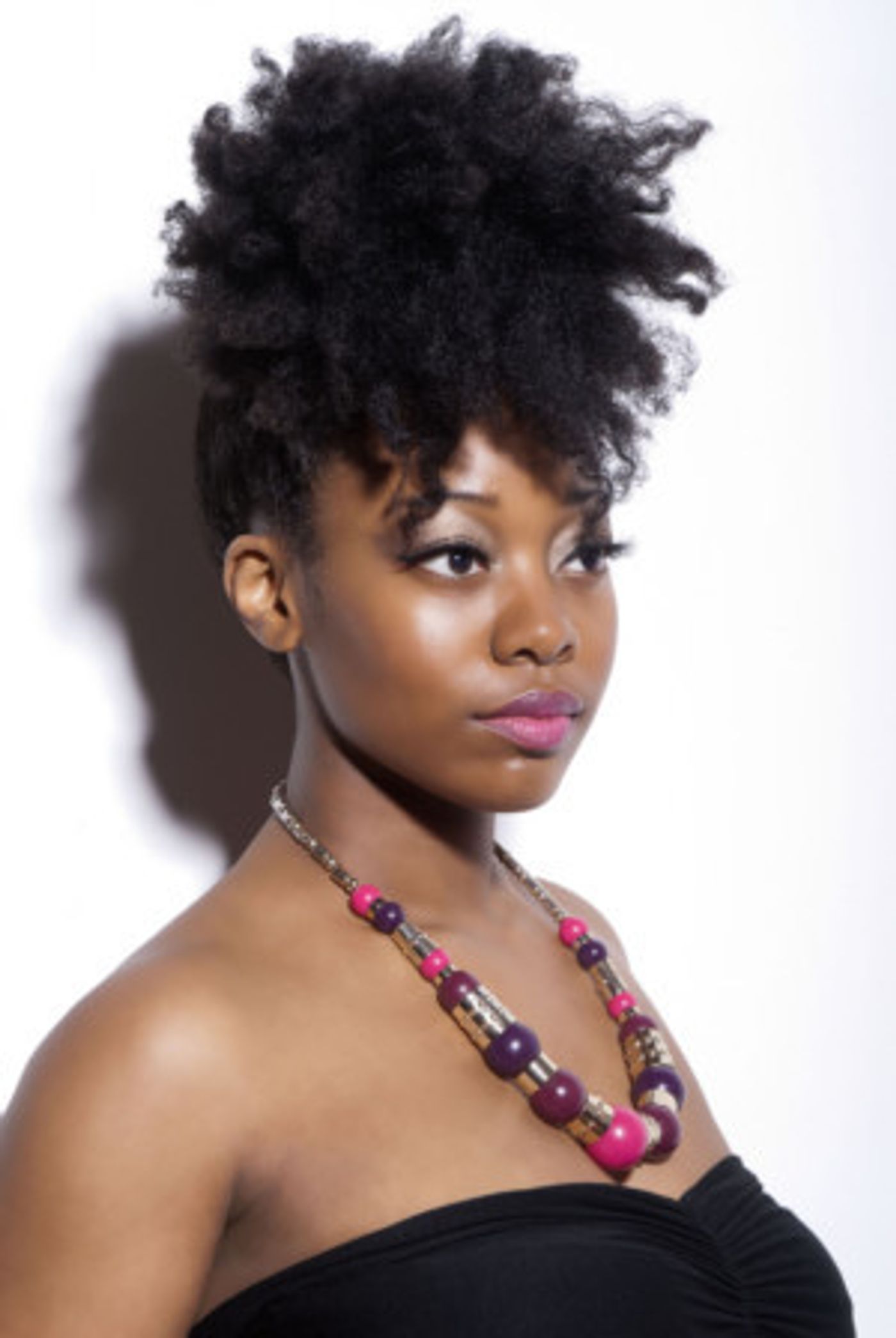 Brooklyn Center For The Performing Arts Presents ALICIA OLATUJA  Image