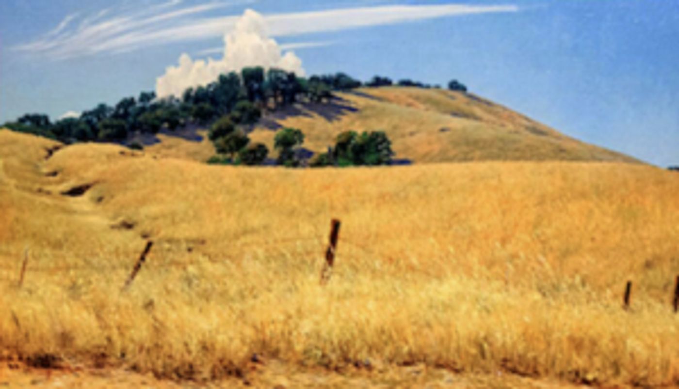 ADG Gallery 800 Announces Exhibit, Opening 2/10  Image