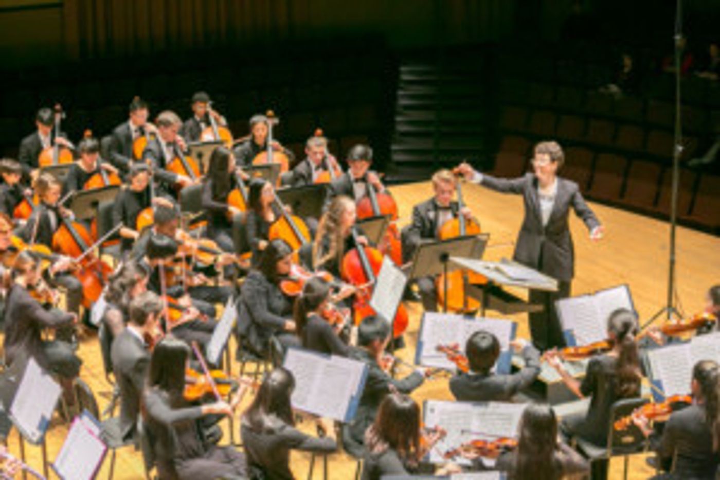 Philadelphia Young Artists Orchestra Concert Announced Sunday, 2/18  Image