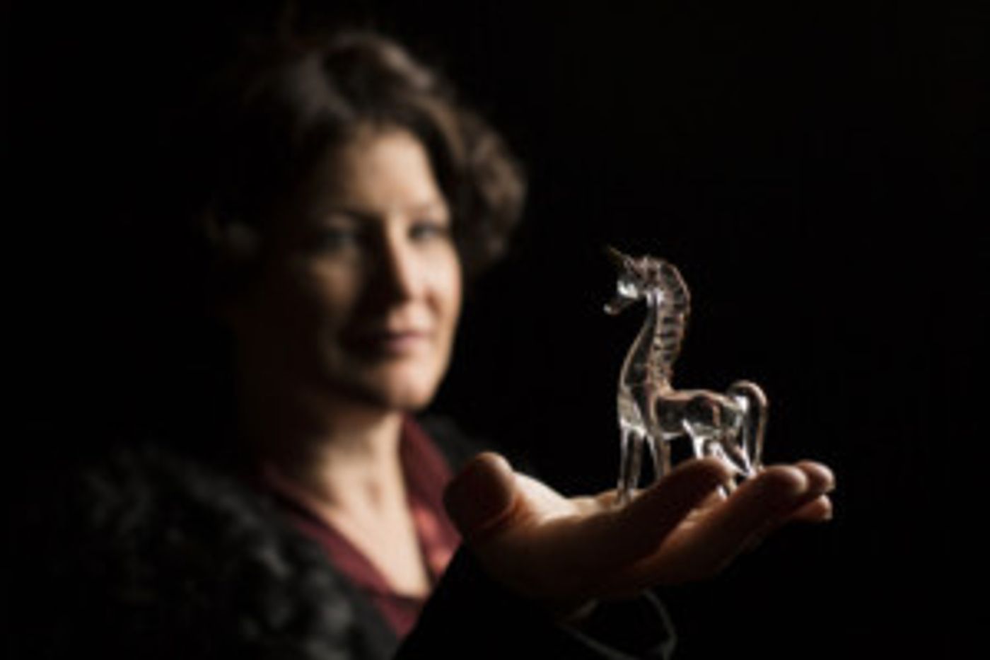 FreeFall Re-Opens Black Box This Frixday With Tennessee Williams' THE GLASS MENAGERIE  Image