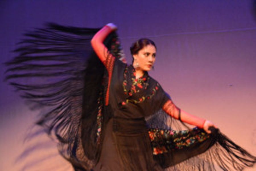 FLAMENCO FIESTA 2018 Comes to Teatro Paraguas Image
