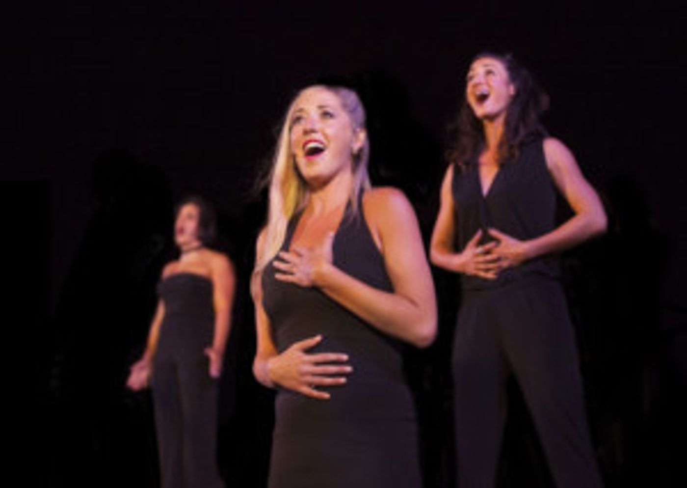Transcendence Theatre Co. presents North Bay Premiere of THE LADIES OF BROADWAY  Image