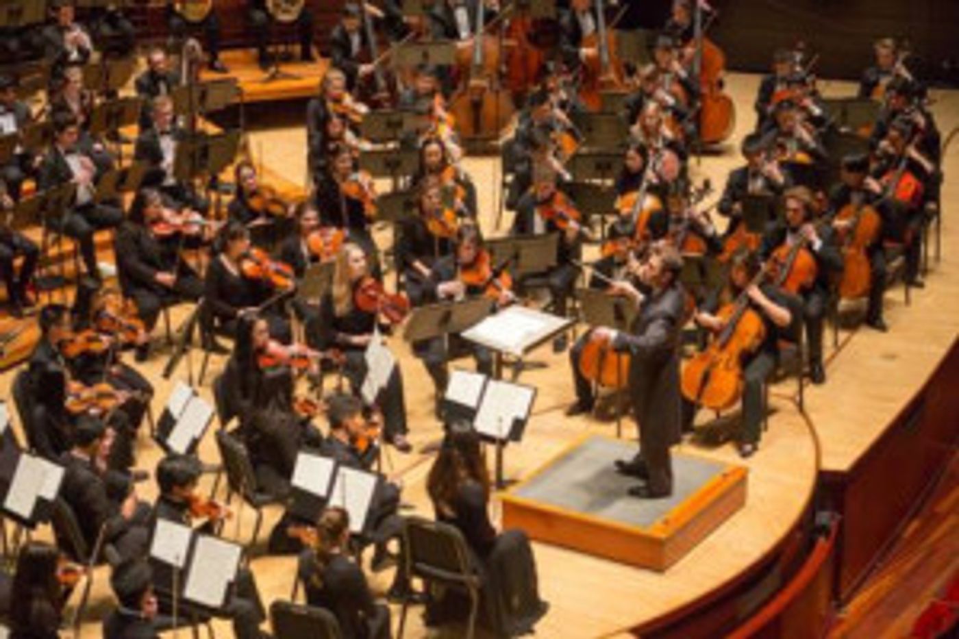 Phila. Youth Orchestra Concert to be Conducted by Maestro Louis Scaglione  Image