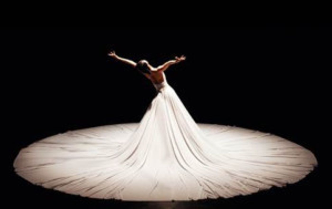 White Bird presents Jessica Lang Dance at the Newmark Theatre  Image