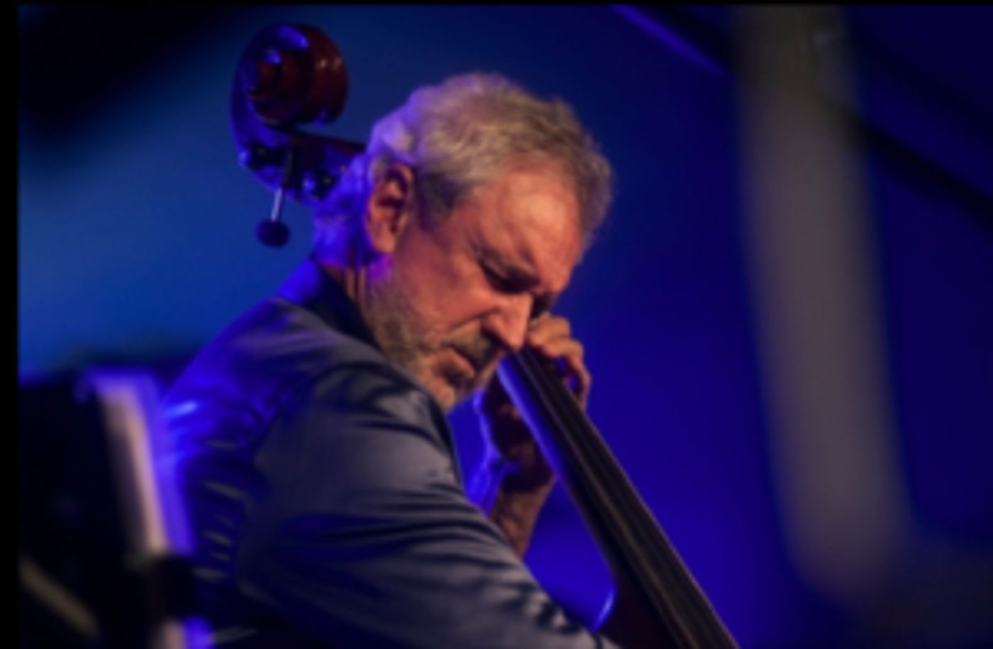 Jazz Meets Samba with Nilson Matta at Jazz Forum  Image