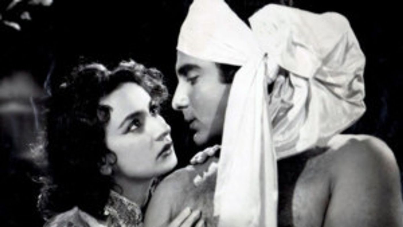 MFAH Participates in the ERJCC's 14th Annual Houston Jewish Film Festival  Image