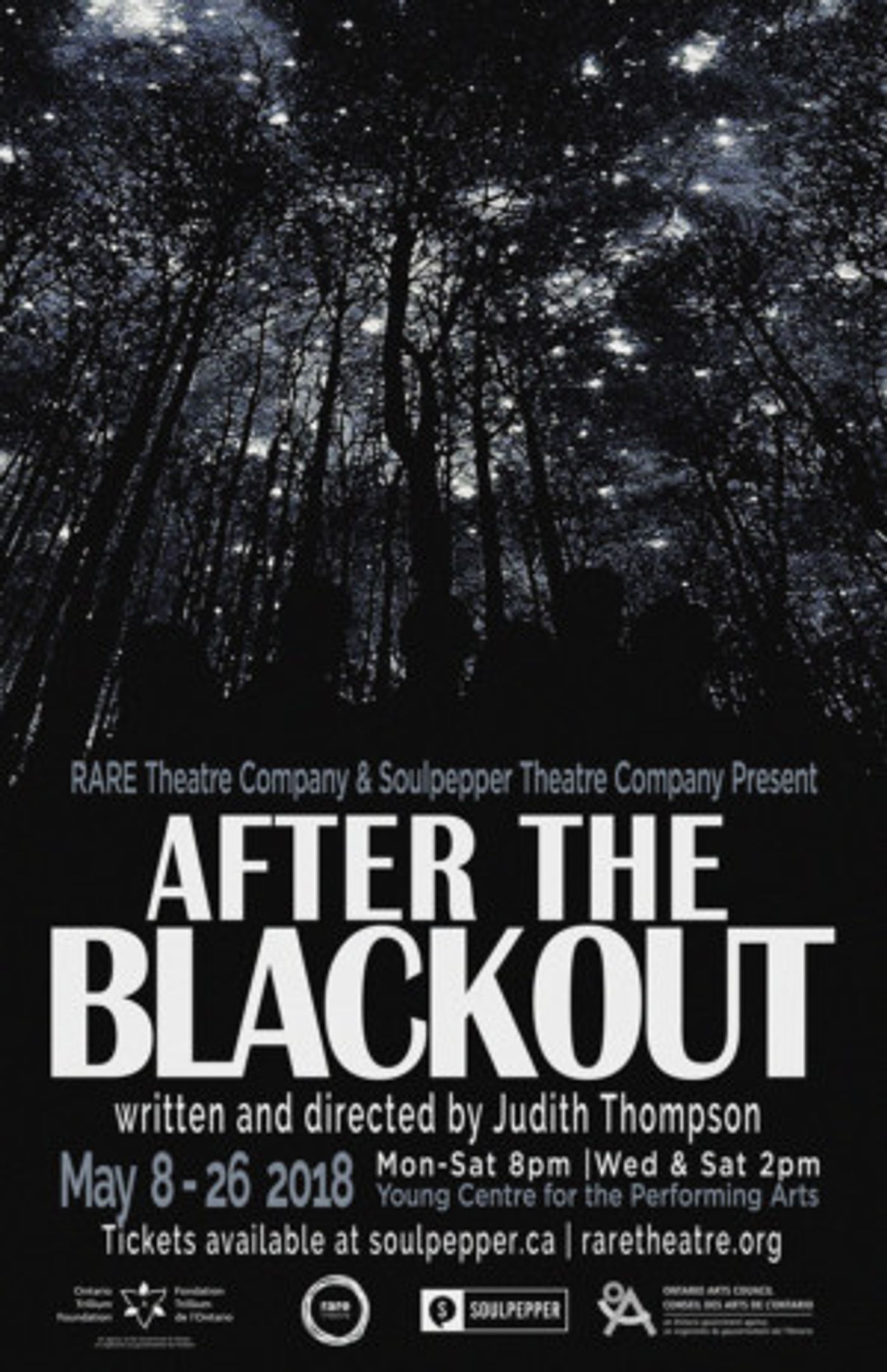 RARE Theatre Company And Soulpepper Theatre Company Present AFTER THE BLACKOUT  Image