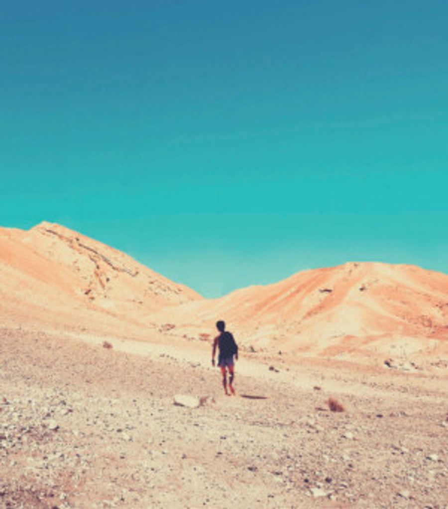 Riverside Theatres, Merrigong Theatre Company And Arts Projects Australia Presents TAHA Image
