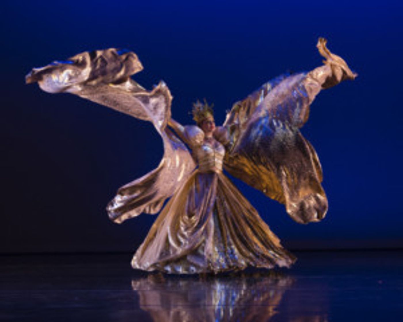 IONA Contemporary Dance Theatre's DOMINION On Sale Now at Hawaii Theatre Center  Image