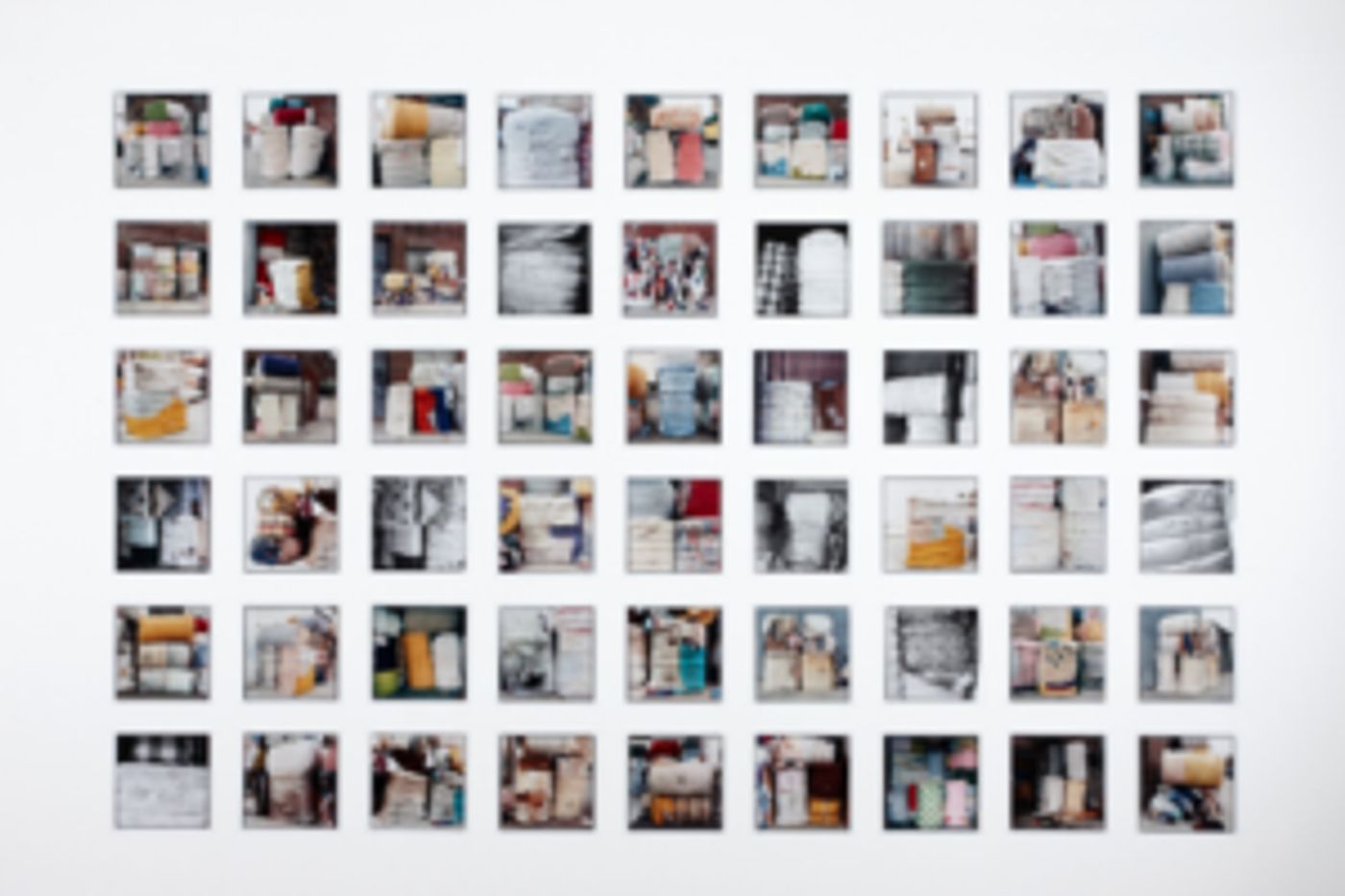 FotoFocus Presents Conversation With Activist And Photographer Zoe Leonard  Image