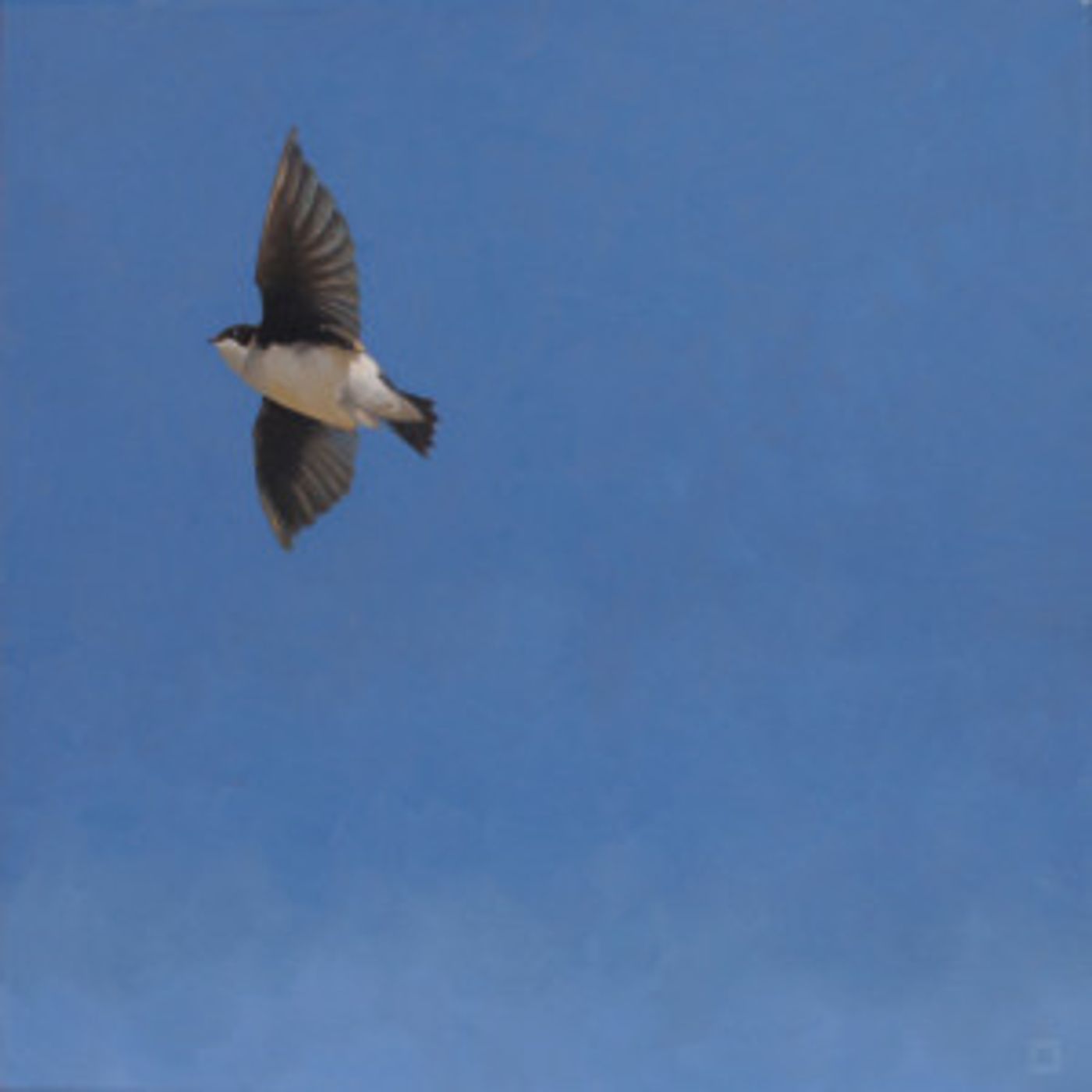 Nine Arizona Artists Create Awards For 37th Annual Governor's Arts Awards Honorees  Image