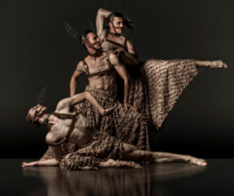 DeNada Dance Theatre's TORO: BEAUTY AND THE BULL Premieres at The Lowry As Part Of National Tour Image